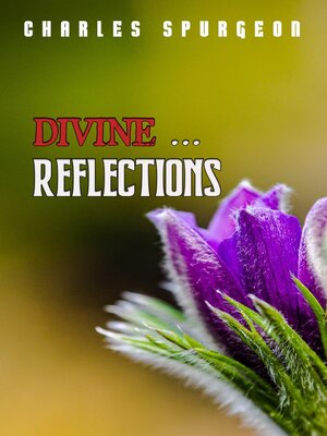 cover image of Divine Reflections